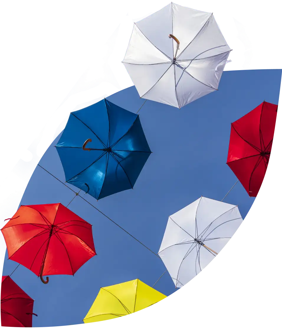 a bunch of umbrellas