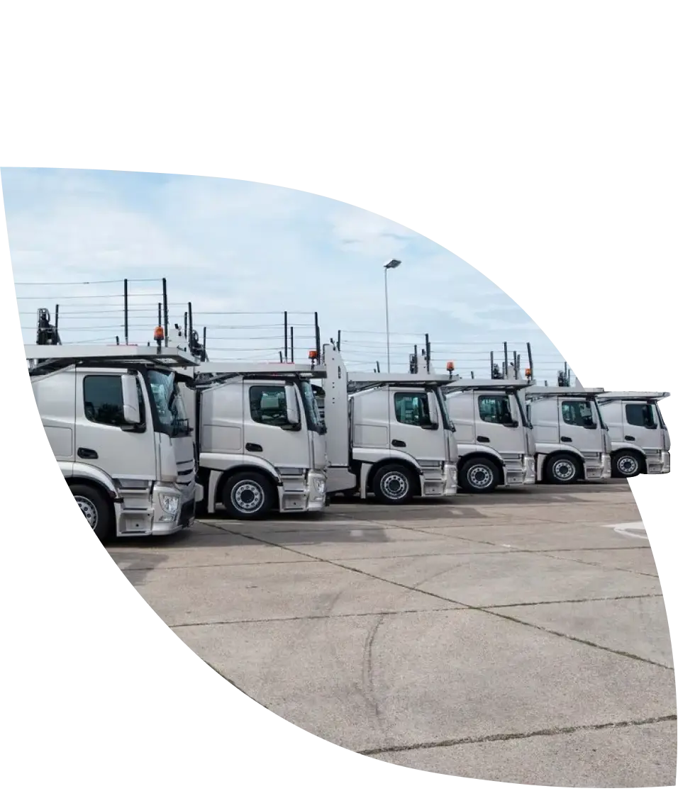 a fleet of trucks